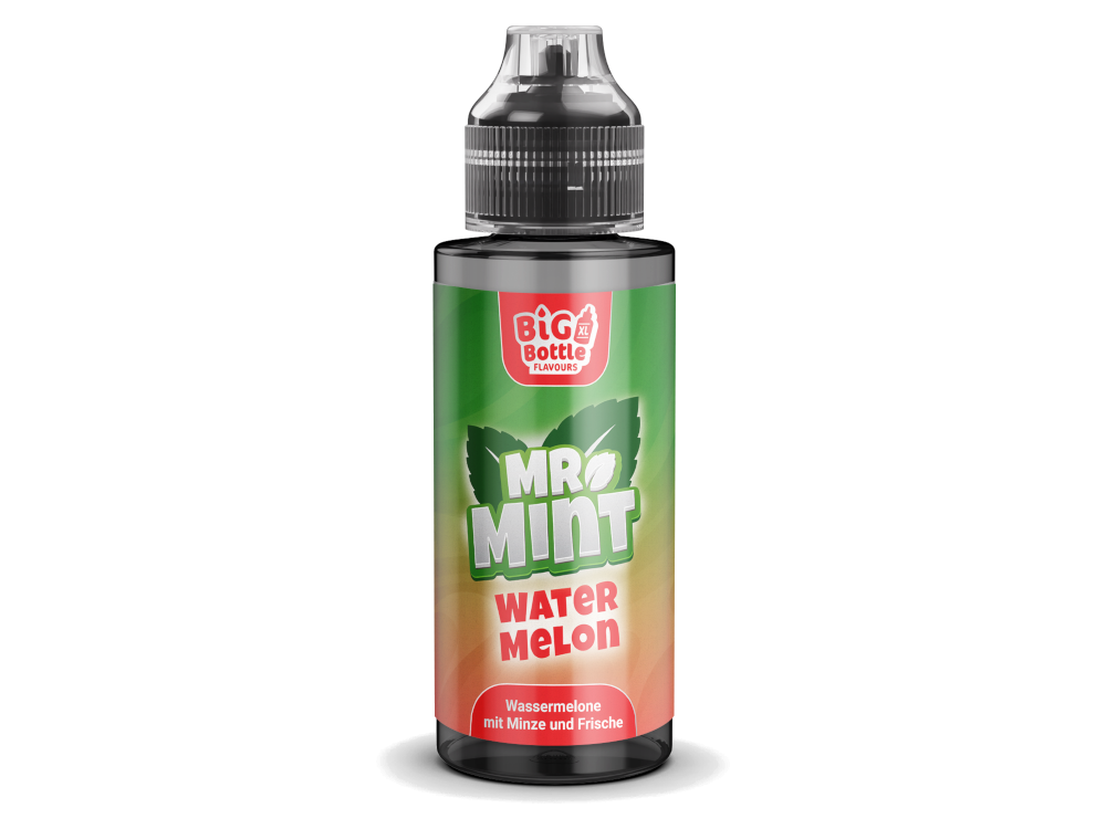 Mr. Mint by Big Bottle - Longfills 10 ml